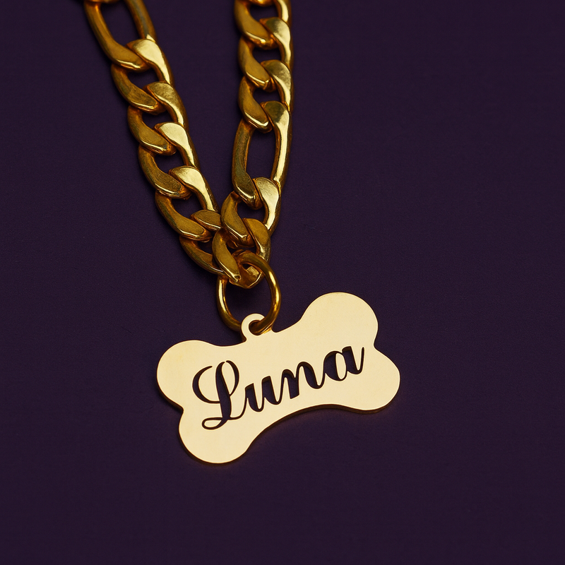 Dog Name Tag on pet